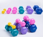 Vinyl Dumbbell