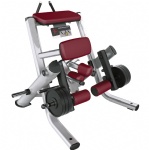 Kneeling Leg Curl