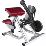 Biceps Curl
