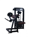 Biceps Curl