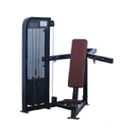 Shoulder Press
