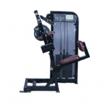 Triceps Extension