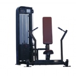 Chest Press