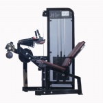 Seated Leg Curl