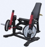 Leg Extension