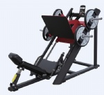 Linear Leg press